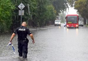 Policjant zabezpiecza rozlewisko