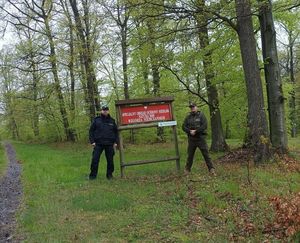 Wspólne patrole Policji i Straży Leśnej