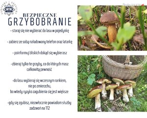 BEZPIECZNE GRZYBOBRANIE