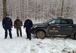 Policja i Straż Leśna przeciwko kradzieży choinek i drewna z lasów