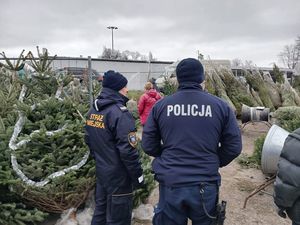 Policjanci wraz ze strażnikami miejskimi kontrolowali miejsca sprzedaży choinek