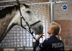 Cykl reportaży o tajnikach służby policjantek