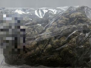 Policjanci z Dzierżoniowa zabezpieczyli ponad pół kilograma marihuany