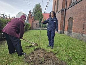 Symboliczny dar od Towarzystwa Miłośników Dzierżoniowa z okazji 100-lecia kobiet w Policji. Wsadzanie lilaków przed budynkiem KPP Dzierżoniów.