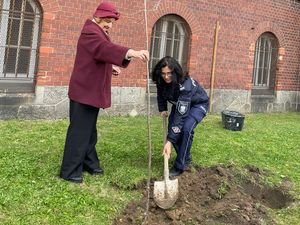 Symboliczny dar od Towarzystwa Miłośników Dzierżoniowa z okazji 100-lecia kobiet w Policji. Wsadzanie lilaków przed budynkiem KPP Dzierżoniów.