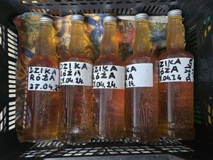 Policjanci z Dzierżoniowa ujawnili nielegalny alkohol i środki odurzające