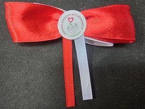 Młodzież z Ośrodka Szkolno-Wychowawczego w Dzierżoniowie z wizytą w Komendzie Powiatowej Policji – patriotyczna tradycja trwa