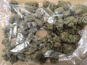 Kryminalni z Dzierżoniowa kolejny raz uderzają w narkobiznes – 20-latek z Piławy Górnej zatrzymany z dużą ilością narkotyków