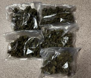 Ponad pół kilograma narkotyków zabezpieczone dzięki skutecznej pracy dzierżoniowskich kryminalnych