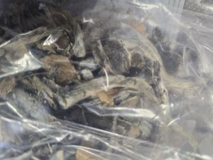 Zabezpieczone narkotyki