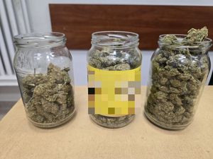 Skuteczna praca kryminalnych. Znaczne ilości narkotyków ujawnione u mieszkańca powiatu