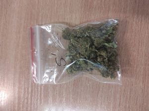 Marihuana w kieszeni, kajdanki na rękach – dwa zatrzymania jednego dnia