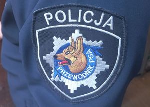 haszysz i naszywka przewodnika psa