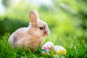 Życzenia Komendanta Powiatowego Policji w Dzierżoniowie z okazji Świąt Wielkanocnych