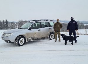 Patrol funkcjonariuszy policji i straży leśnej